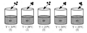 Scorang siswa mengisi lima buah gelas kimia dengan 50 mL air yang suhunya 25°C. Setelah dimasukkan suatu zat pada masing-masing gelas, terjadi perubahan suhu seperti gambar berikut.