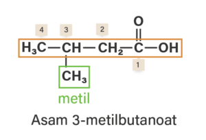 Jawaban: Opsi jawaban D.  Asam karboksilat merupakan turunan alkana dengan rumus molekul CₓH₂ₓO₂ dan gugus fungsi -COOH. Tata nama IUPAC asam karboksilat adalah asam alkanoat. Penomoran pada asam karboksilat dimulai dari C gugus fungsi.  Berdasarkan soal, penomoran dimulai dari kanan. Rantai utama terdiri dari 4 C, sehingga diberi nama asam butanoat. Pada atom C terdapat cabang metil, sehingga nama senyawa tersebut adalah asam 3-metilbutanoat. Penomorannya dapat dilihat pada gambar terlampir ya.  Jadi, nama senyawa tersebut adalah asam 3-metilbutanoat.