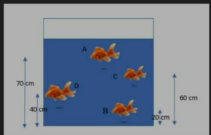 berdasarkan gambar tersebut, tekanan hidrostatis terbesar dan terkecil akan dialami oleh ikan yang ditunjukkan oleh huruf....