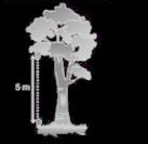 sebuah mangga yang massanya 250 g jatuh dari pohonnya seperti tampak pada gambar di bawah ini. jika percepatan gravitasi bumi ditempat tersebut 10 m/s, maka besar energi potensial mangga sebelum jatuh dari tangkainya adalah ....