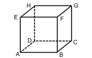 Diketahui kubus ABCD.EFGH dengan panjang rusuk=8 cm. Ditanya: tentukan panjang BG dan panjang AG.