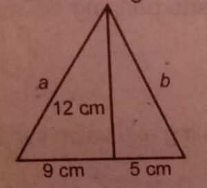 Perhatikan gambar segitiga siku-siku berikut! Tentukan panjang a dan b!