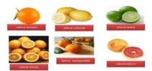 Berdasarkan gambar diatas,macam macam buah jeruk tersebut dapat dikelompokkan ke dalam keanekaragaman tingkat....
