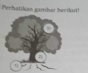 Secara berurutan, bagian pohon konflik yang ditunjukkan oleh angka 1), 2), dan 3) menggambarkan tentang ....