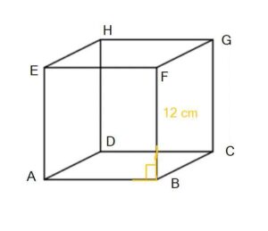 Sebenarnya untuk mencari panjang dari titik ke garis harus dipastikan panjangnya harus tegak lurus baru bisa dihitung. Nah, kalau dilihat dari gambar yang aku buat, F ke AB sudah tegak lurus. Dan panjang yang dibuat tegak lurus sama dengan panjang kubus. Jadi dapat disimpulkan bahwa jarak titik F ke garis AB sebesar 12 cm.