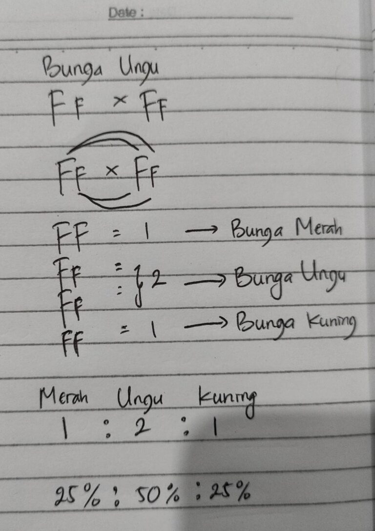 1. monohibrid dominan tidak penuh (intermedient) di ailangkan tanaman