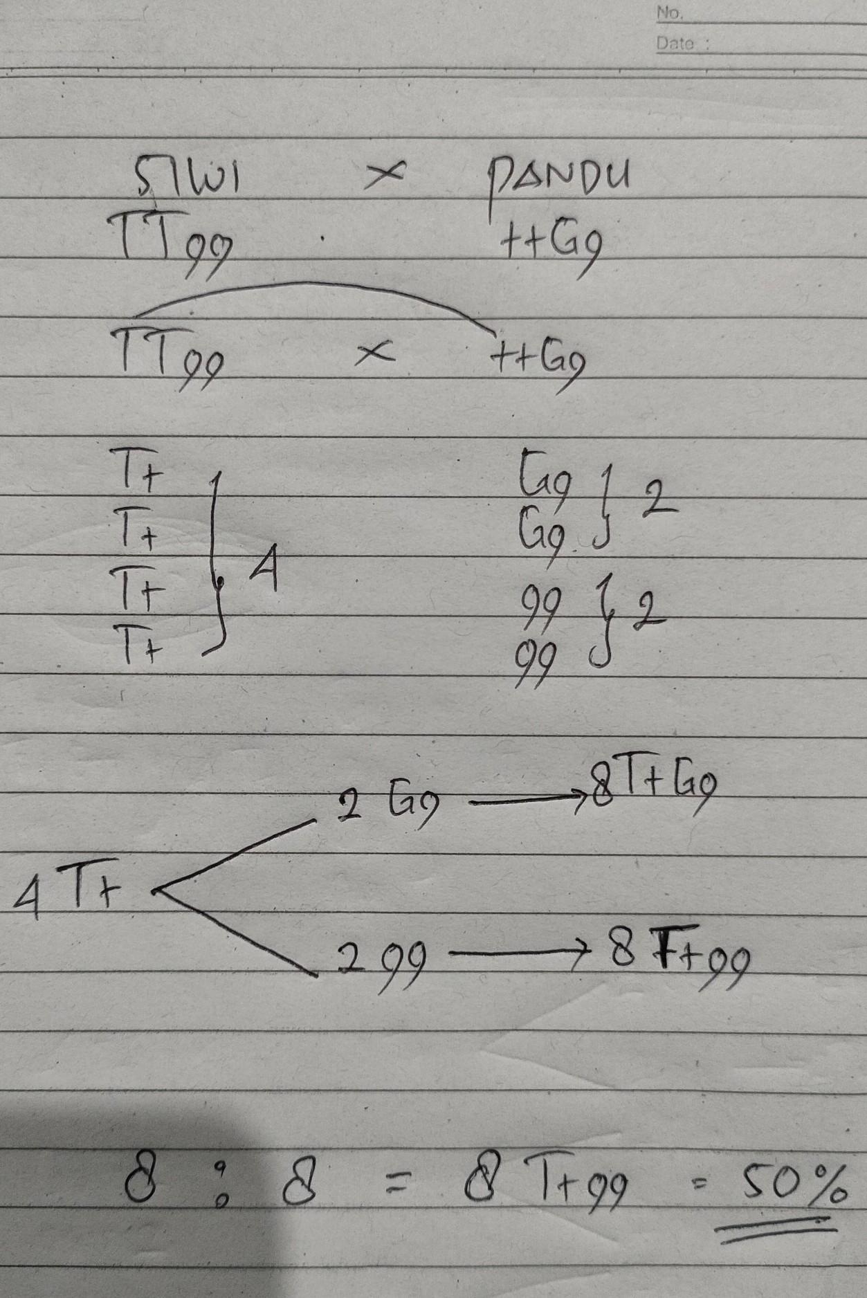 Siwi Mempunyai Ciri Fenotipe Lidah Dapat Menggulung Dan Cuping Telinga ...