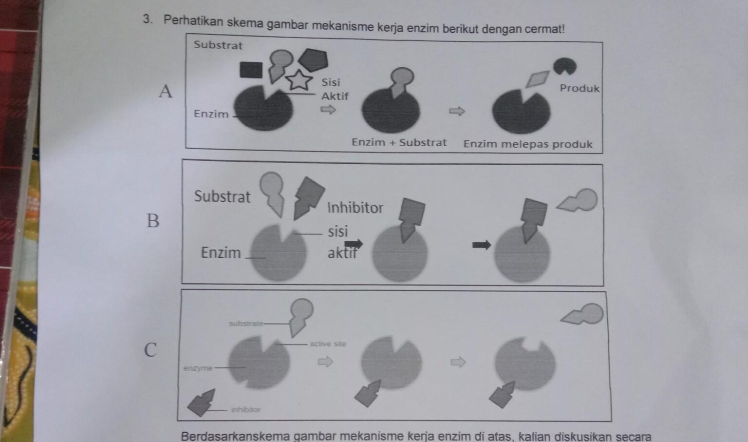 3 Bagaimanakah Cara Kerja Enzim Pada Gambar A Mengapa Hanya Substrat